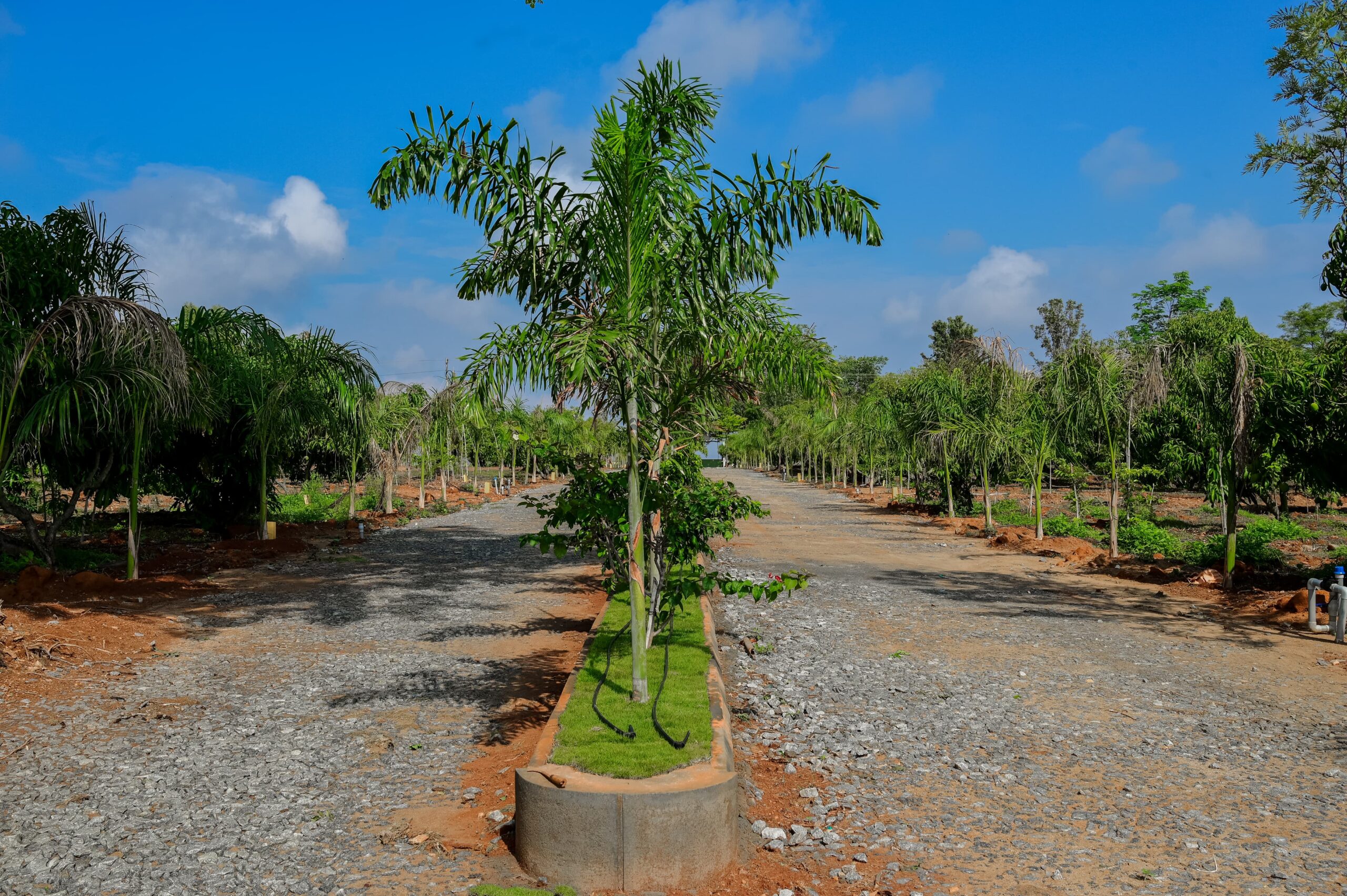 WhatsApp-Image-2025-09-27-at-12.46.55-PM