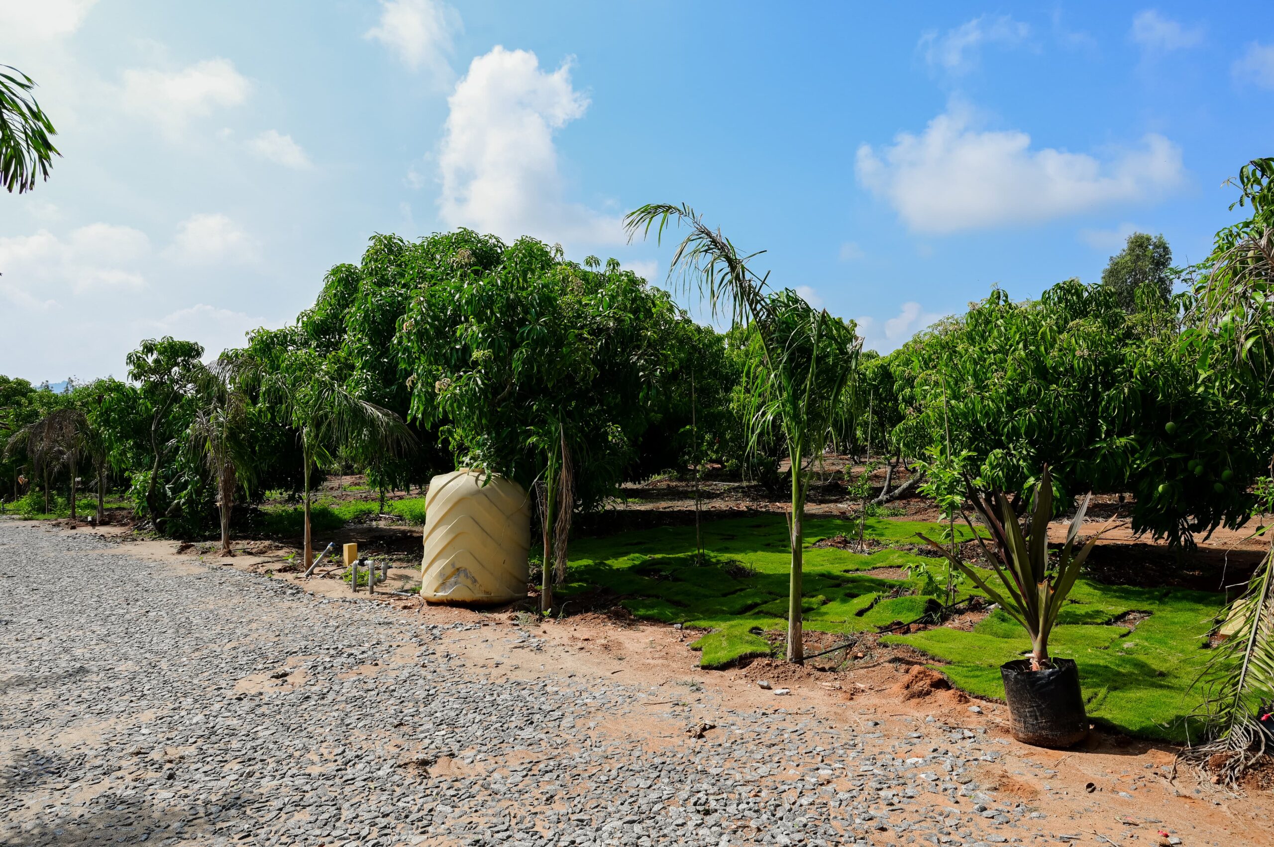 WhatsApp-Image-2025-09-27-at-12.46.56-PM